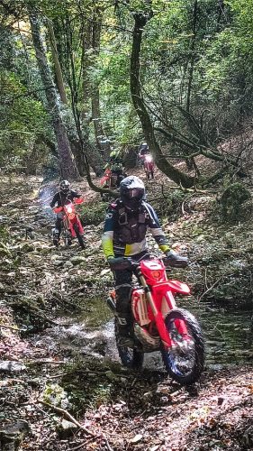 Rider is professionally riding a Beta motorcycle RR300 MY2024