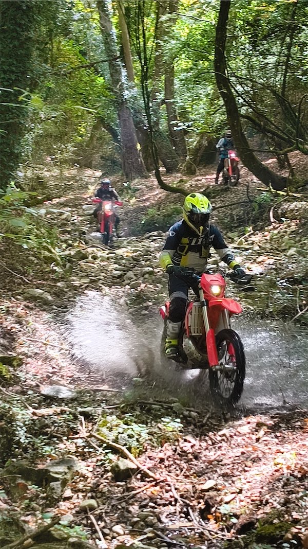 Rider is professionally riding a Beta motorcycle RR300 MY2024