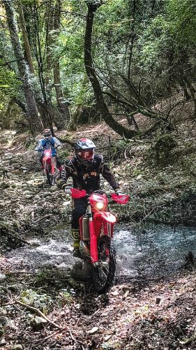 Rider is professionally riding a Beta motorcycle RR300 MY2024