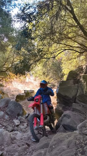 Rider is professionally riding a Beta motorcycle RR300 MY2024